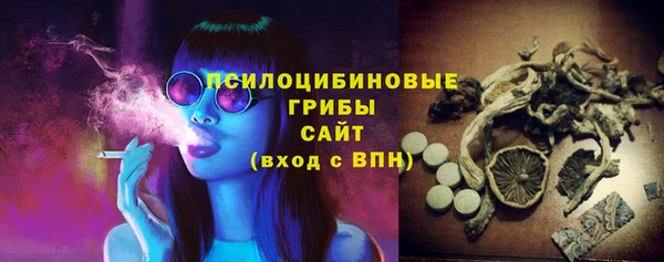спайс Алексин