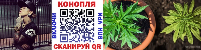 Конопля OG Kush  Новое Девяткино 